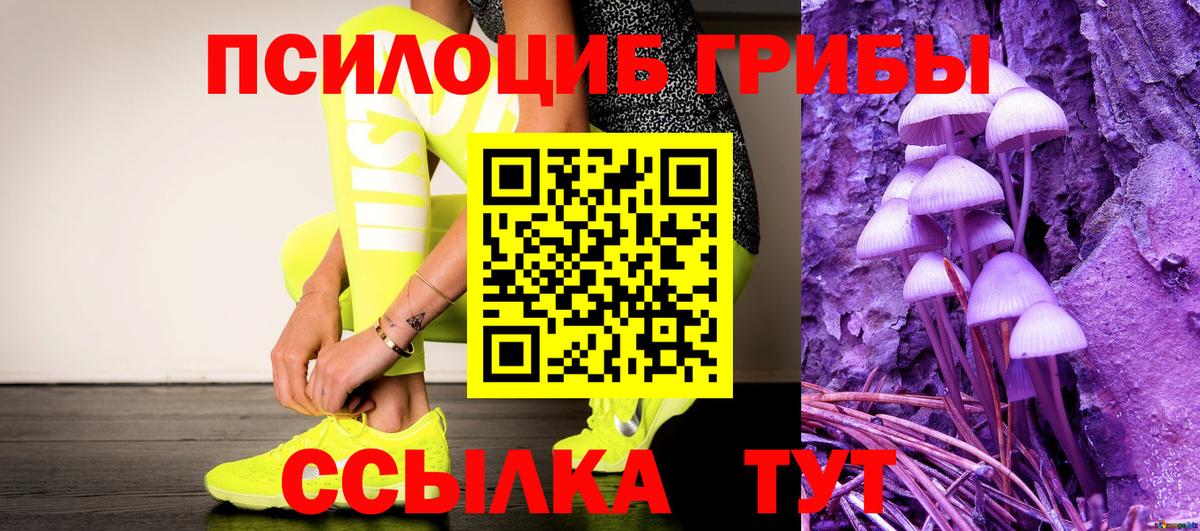 Нижневартовск  Псилоцибиновые грибы Psilocybe  Вход с VPN 