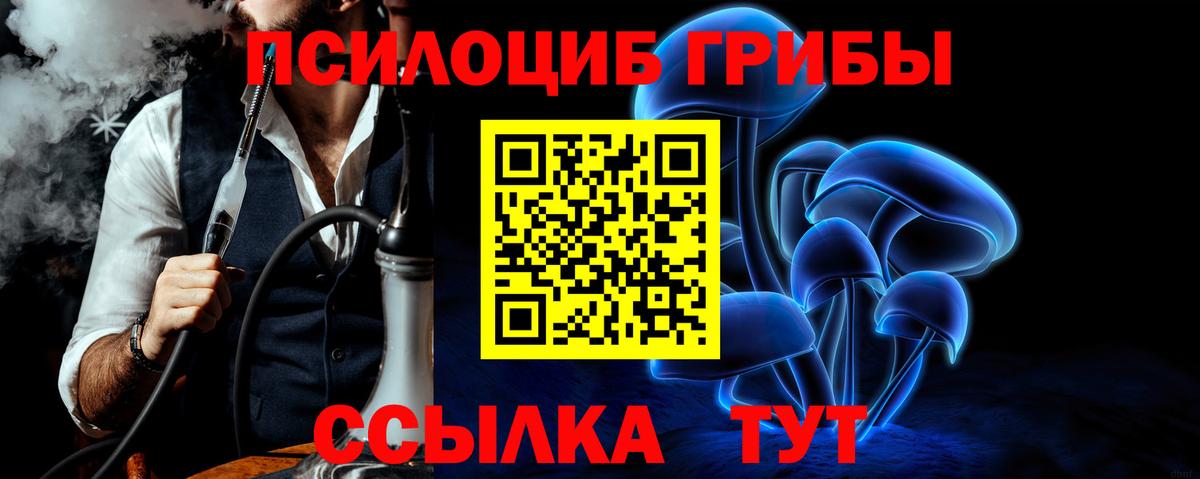 Псилоцибиновые грибы Psilocybine cubensis Нижневартовск